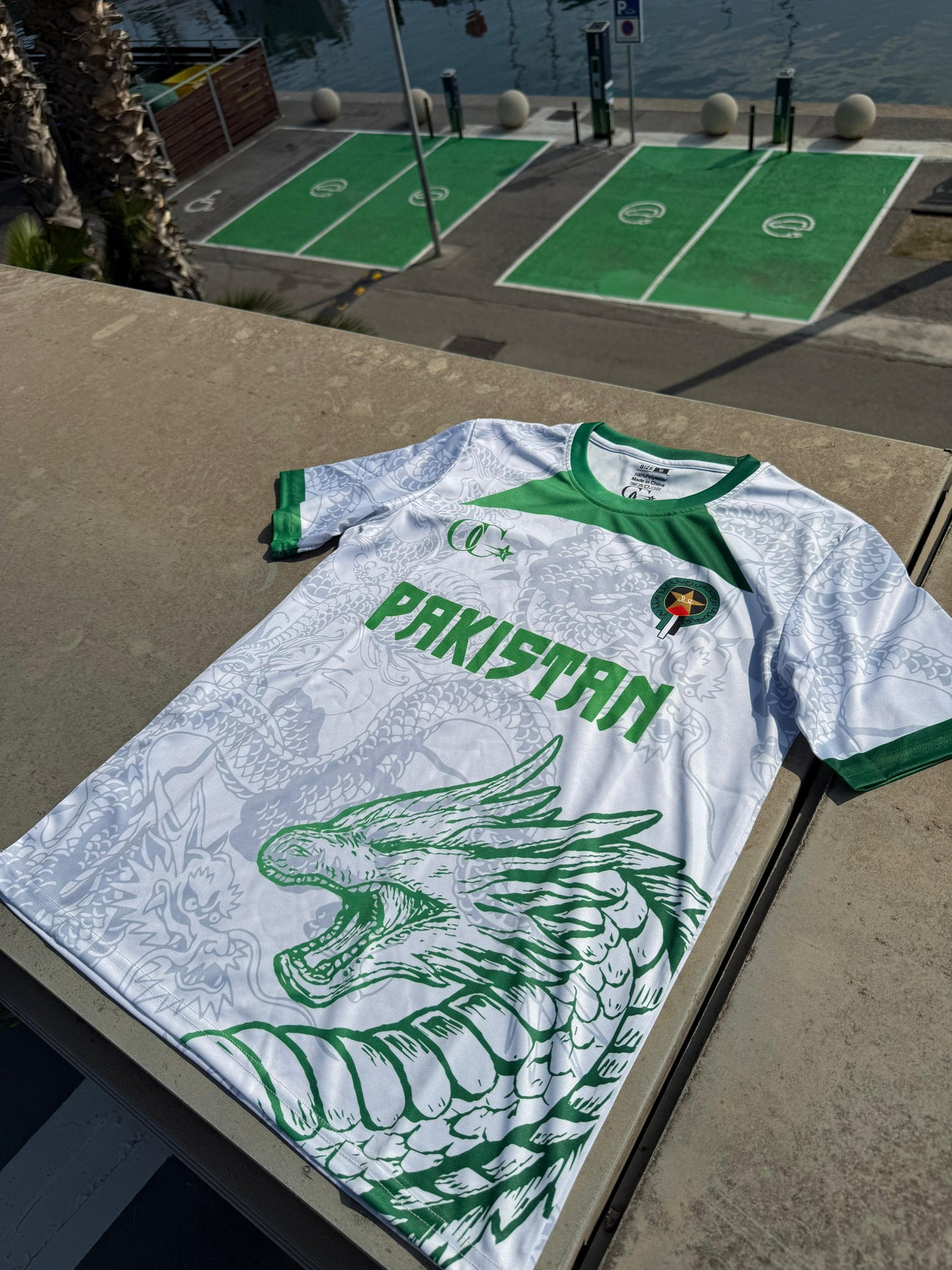 Dragon Pakistan T-Shirt