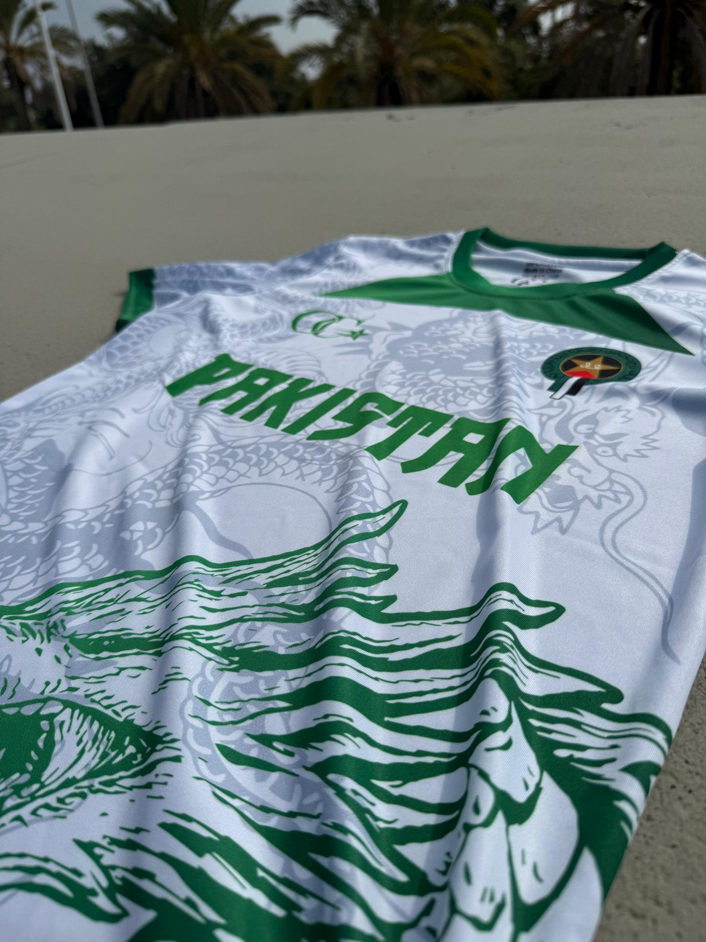 Dragon Pakistan T-Shirt