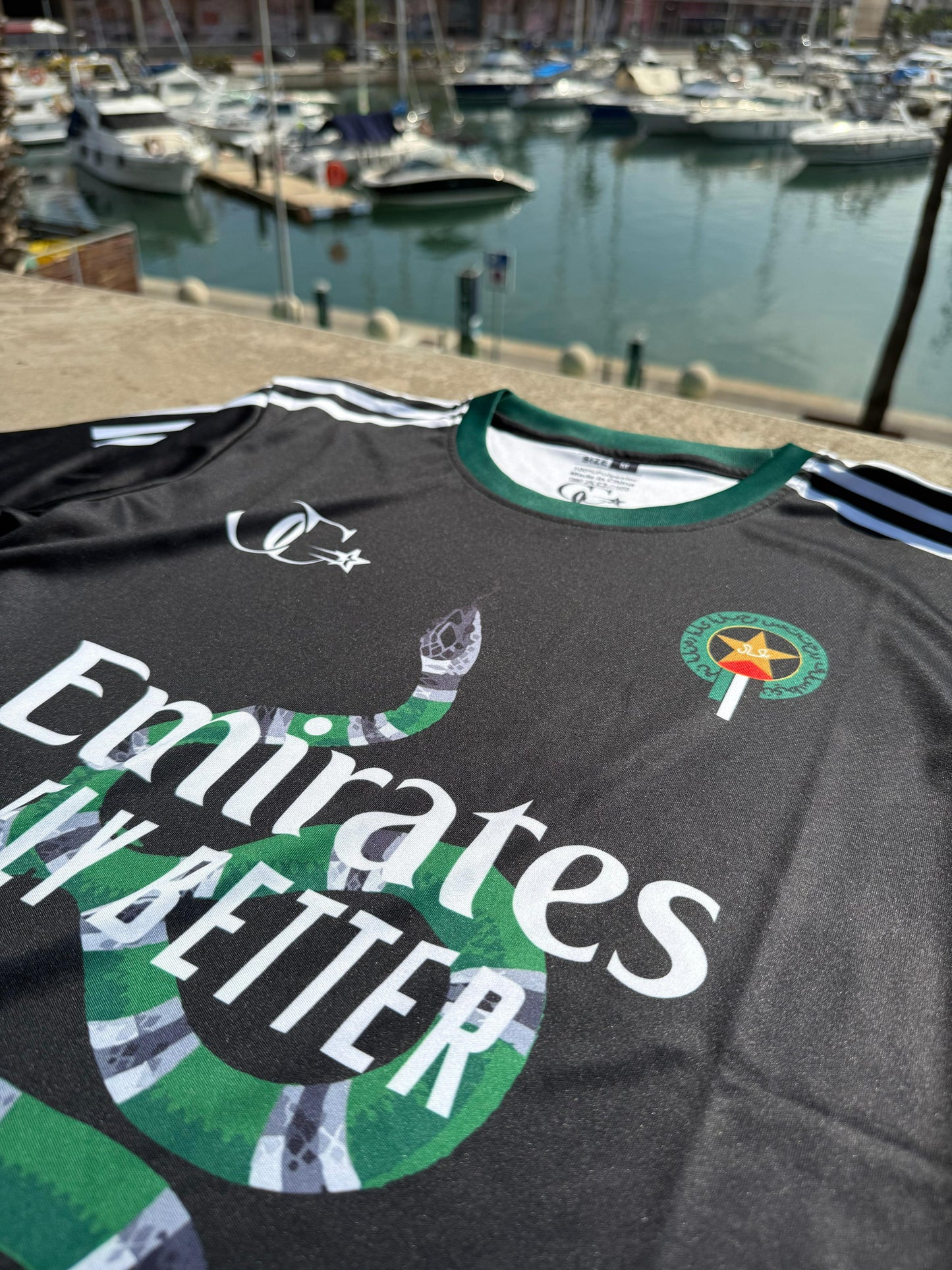 Palestine-Pakistan Iridescent Jersey