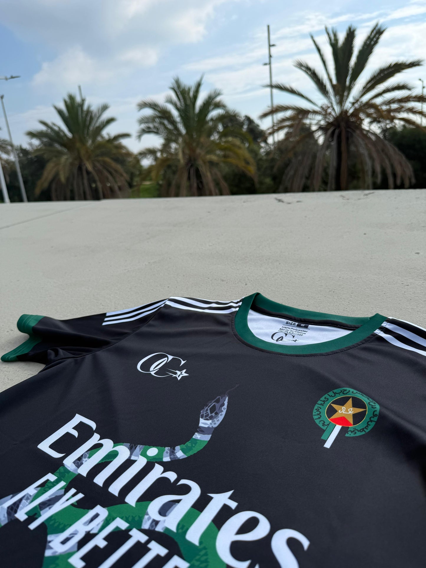 Palestine-Pakistan Iridescent Jersey