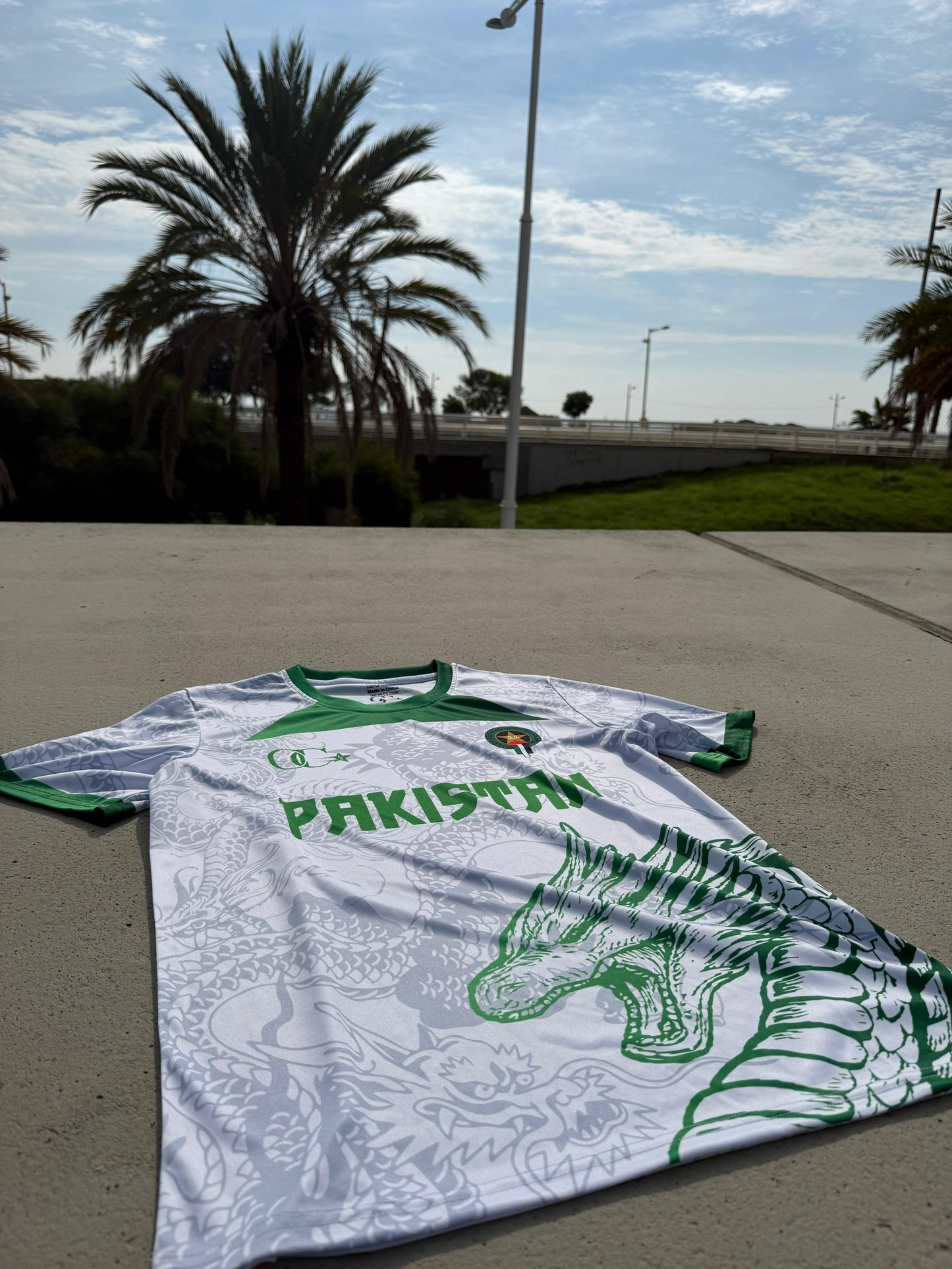 Dragon Pakistan T-Shirt
