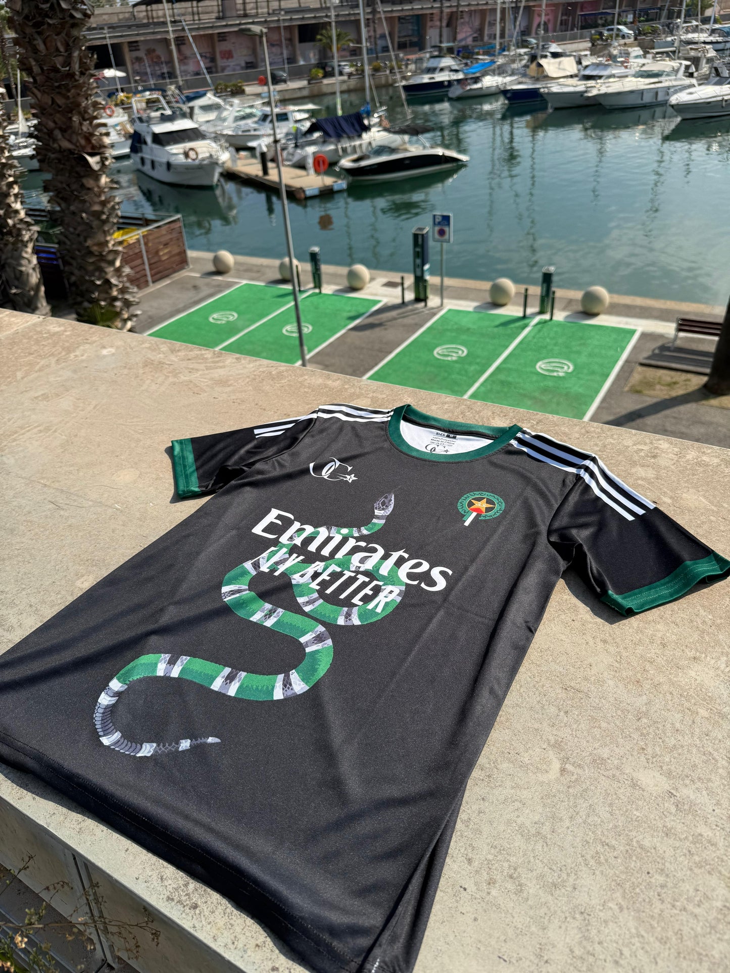 Palestine-Pakistan Iridescent Jersey