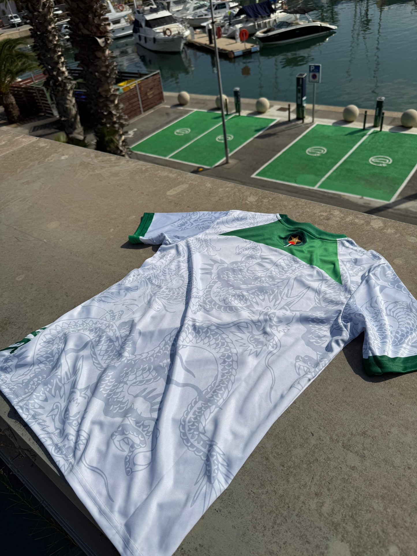 Dragon Pakistan T-Shirt