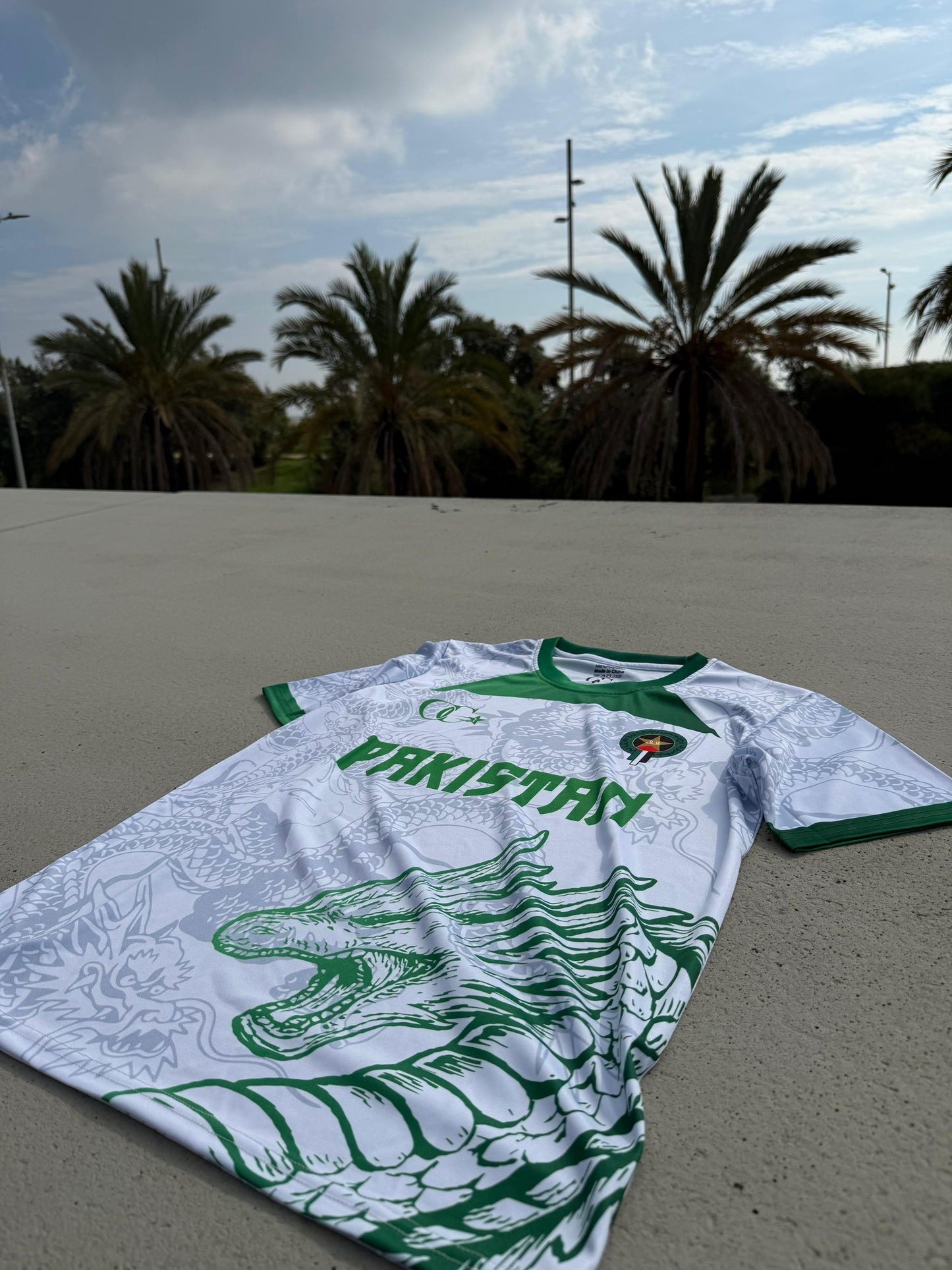 Dragon Pakistan T-Shirt