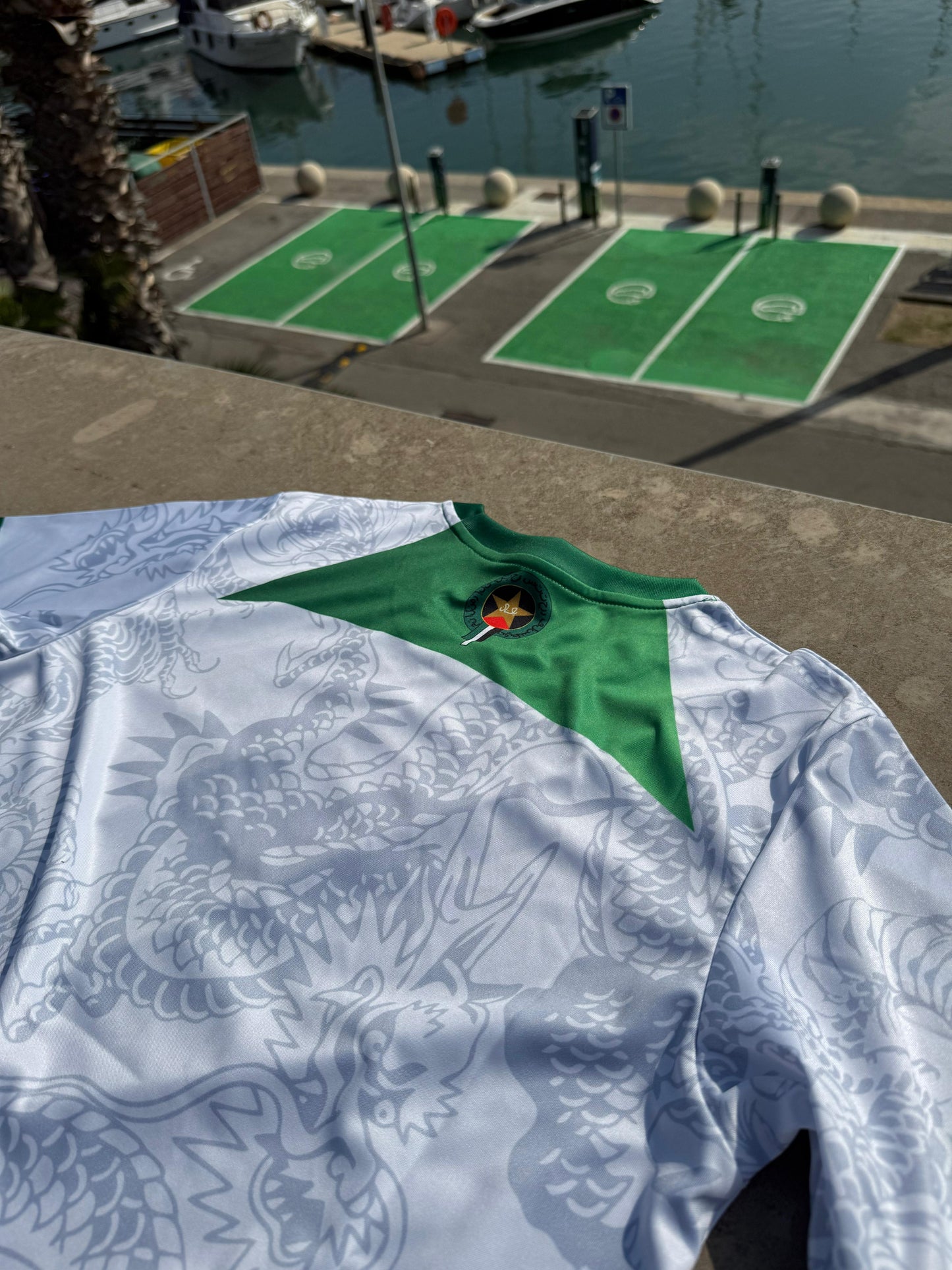 Dragon Pakistan T-Shirt