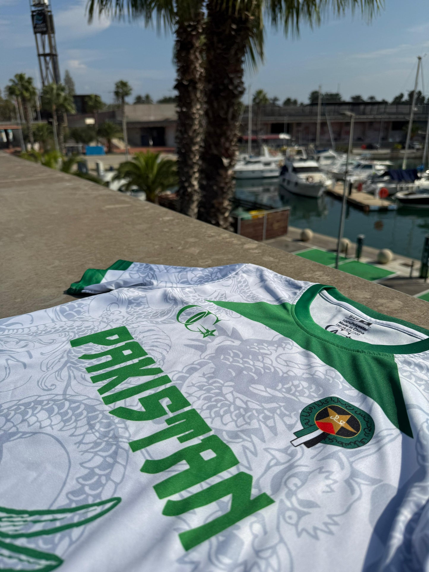 Dragon Pakistan T-Shirt