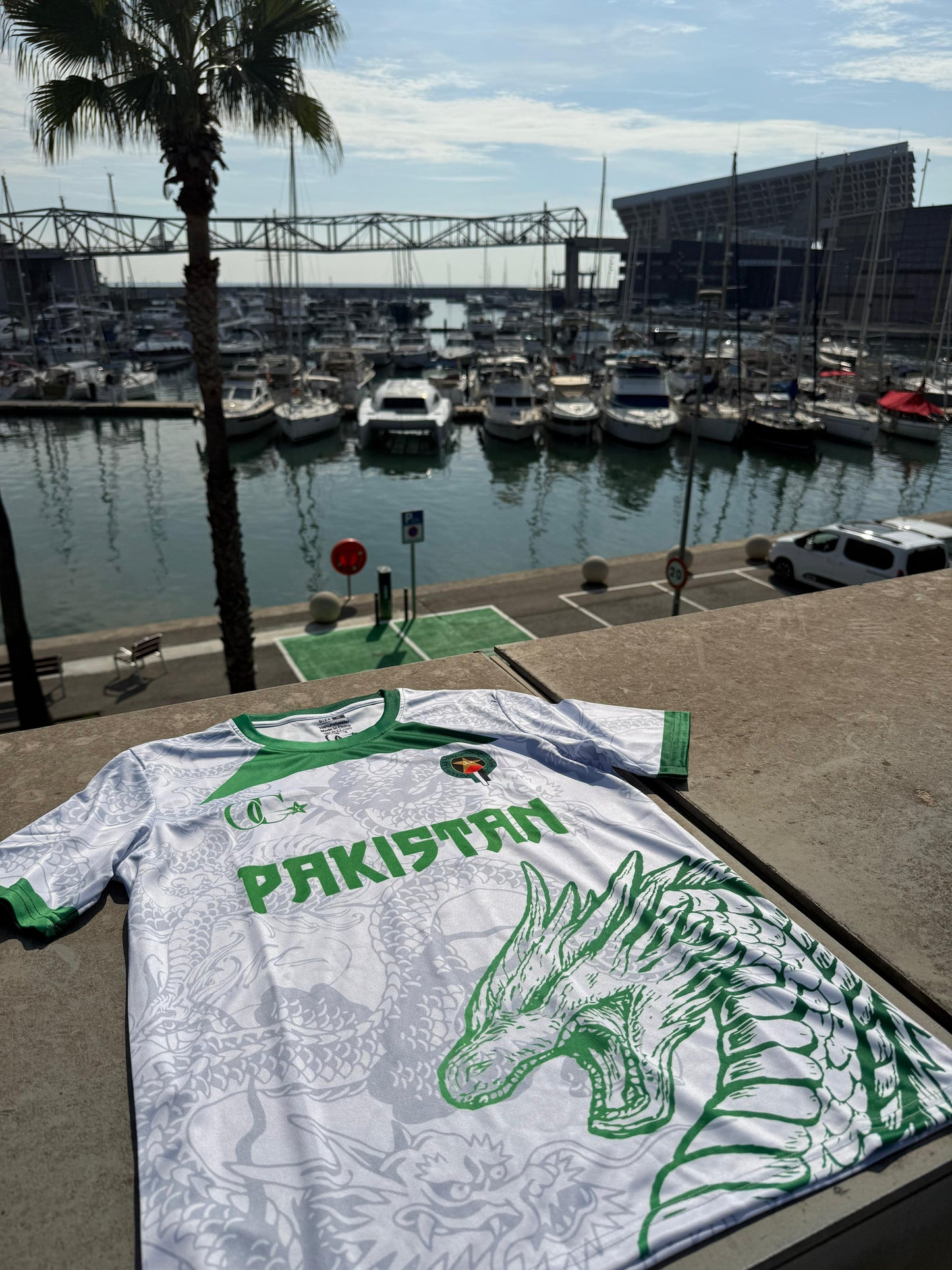 Dragon Pakistan T-Shirt