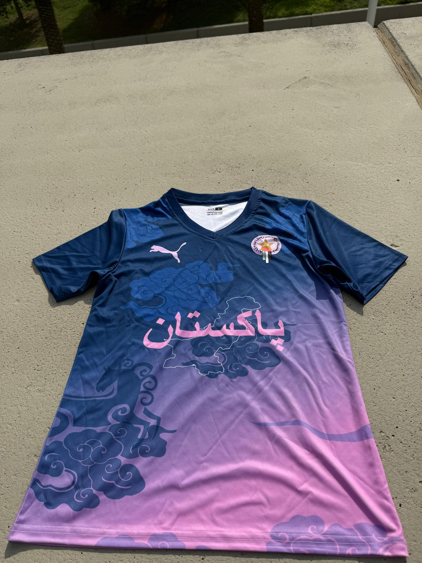 Pakistan x Palestine Special Edition T-shirt.